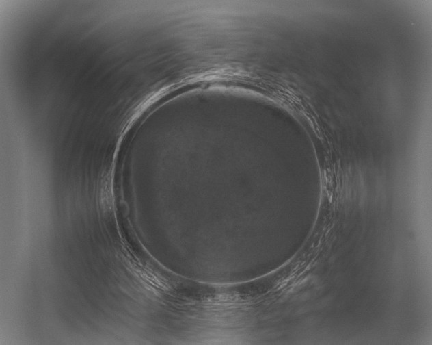 X0000057080196200509120929