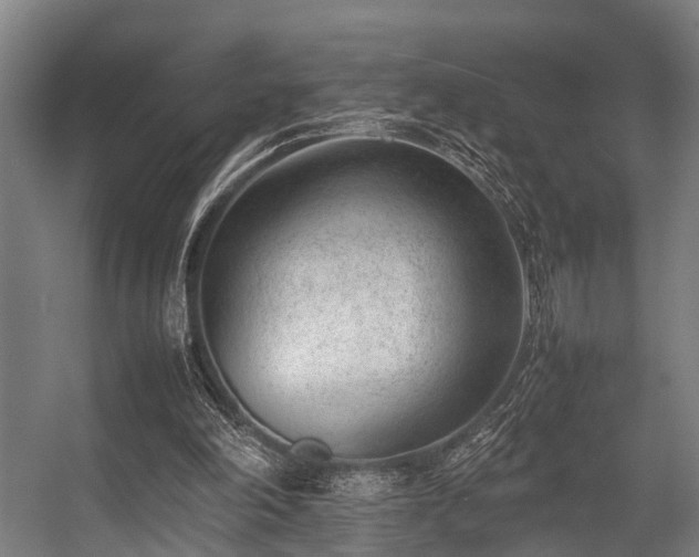 X0000057080198200509120929