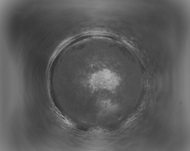 X0000057080199200509120929