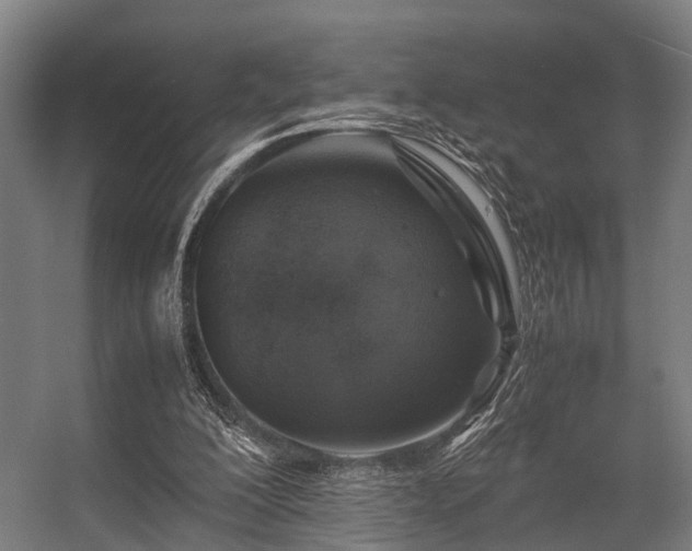 X0000057080200200509120929