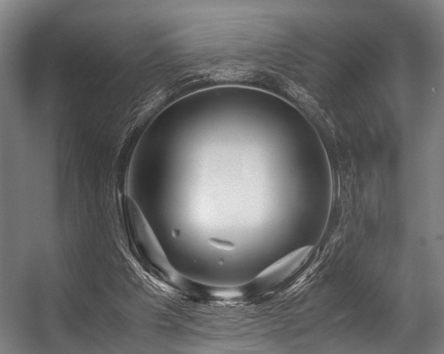 X0000057080201200509120929