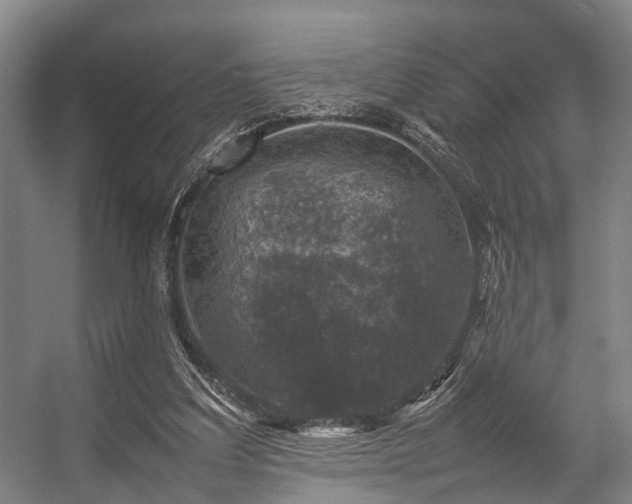 X0000057080203200509120929