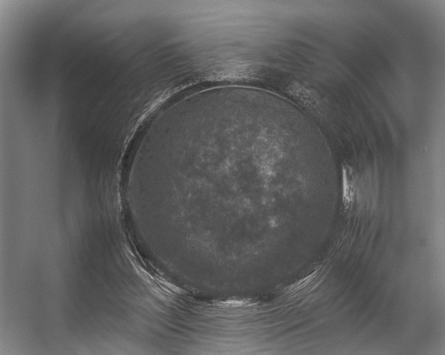 X0000057080204200509120929