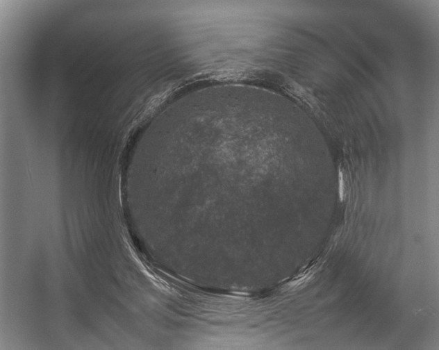 X0000057080205200509120929