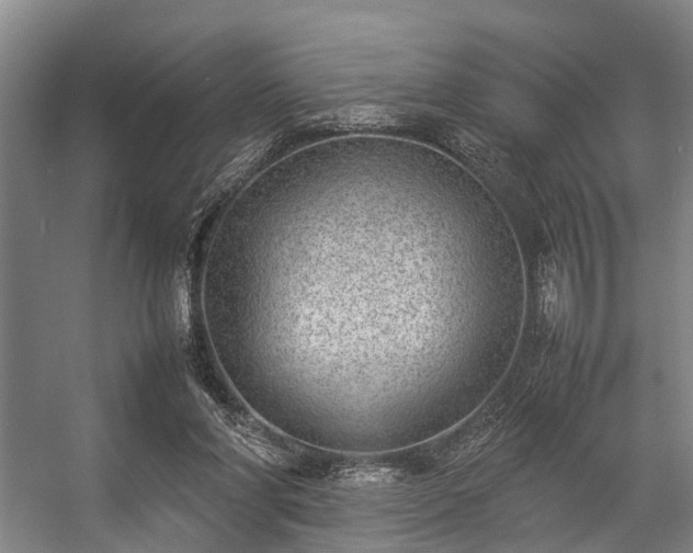 X0000057080206200509120929