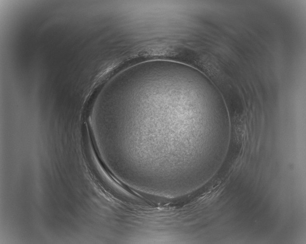 X0000057080207200509120929