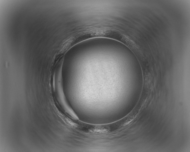 X0000057080209200509120929