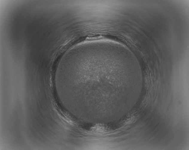 X0000057080211200509120929