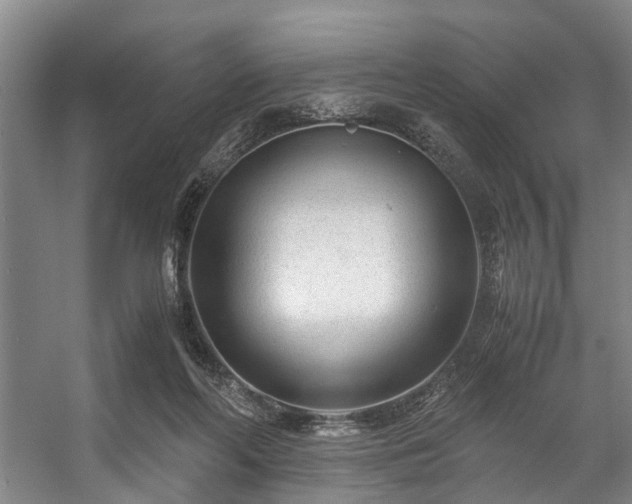 X0000057080214200509120929