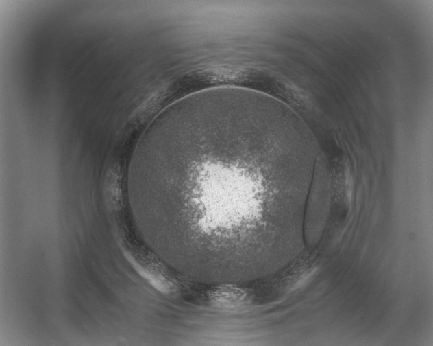 X0000057080215200509120929