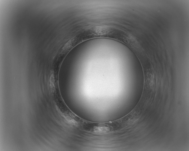 X0000057080220200509120929