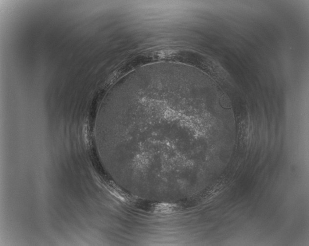 X0000057080222200509120929