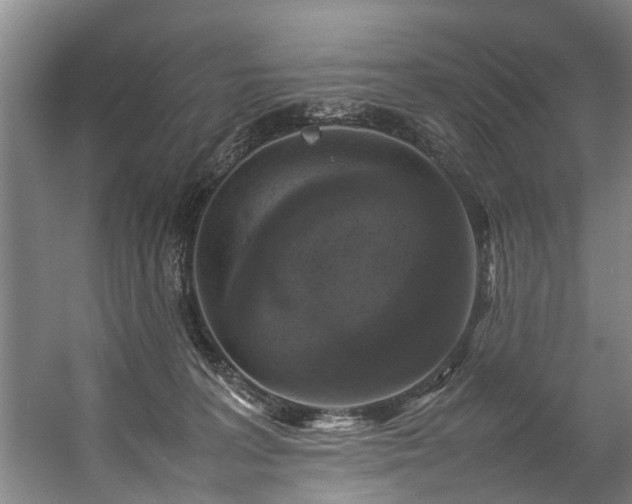 X0000057080227200509120929