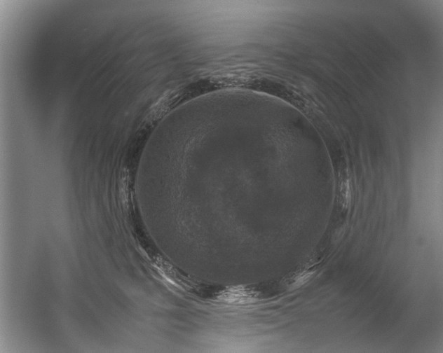 X0000057080231200509120929