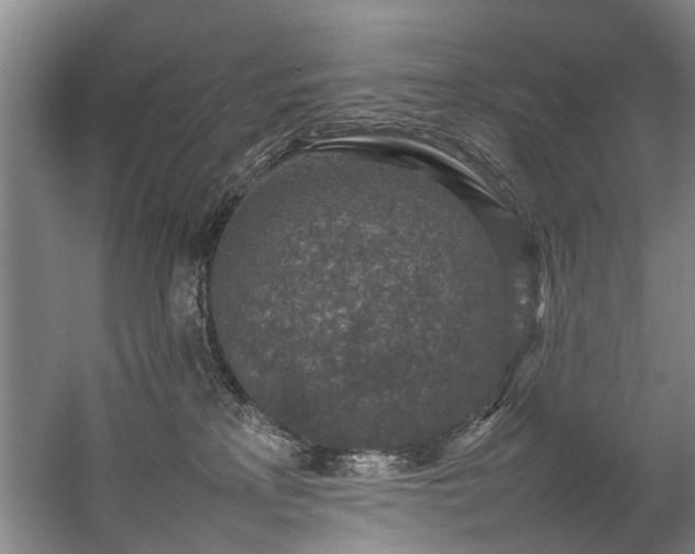 X0000057080233200509120929