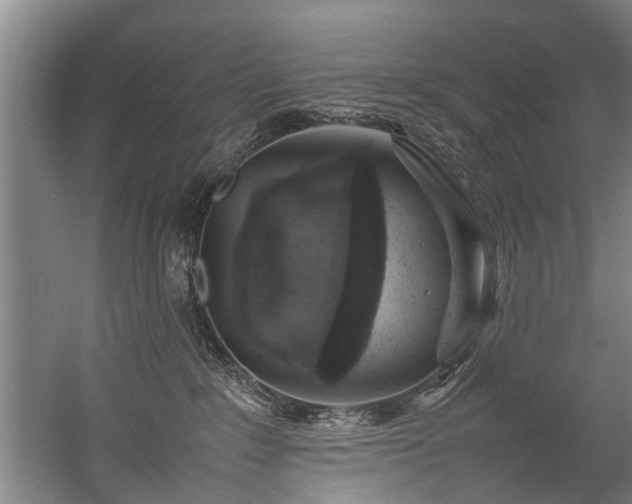 X0000057080235200509120929