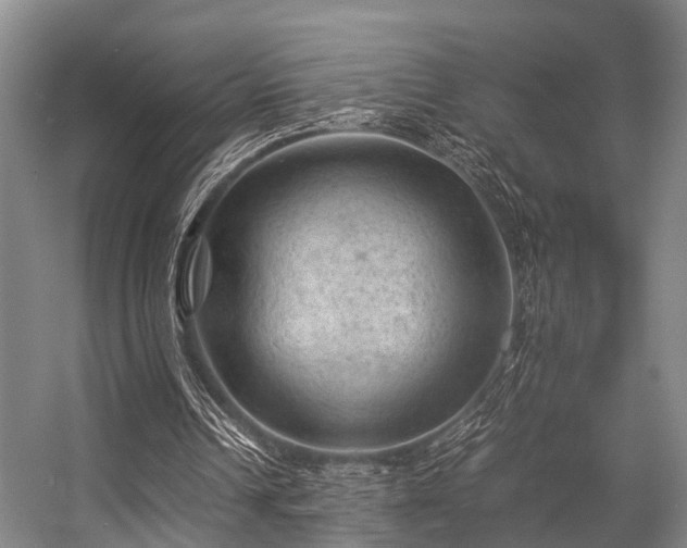 X0000057080242200509120928