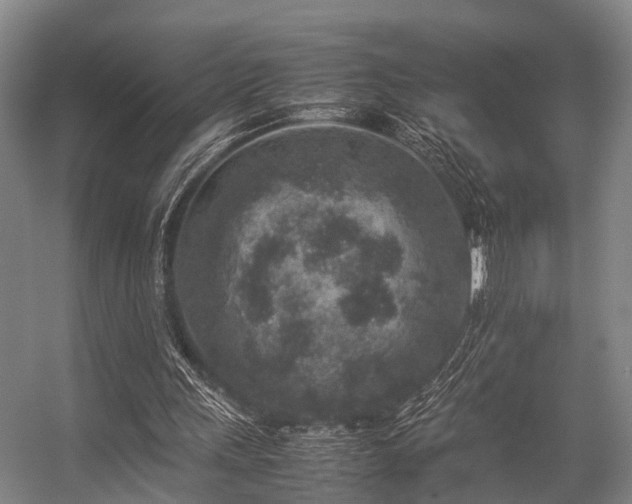 X0000057080243200509120928