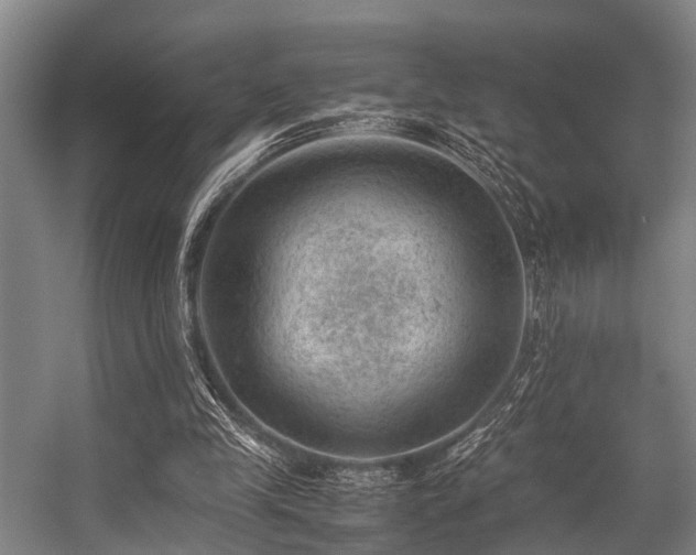 X0000057080245200509120928