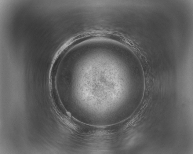 X0000057080246200509120928