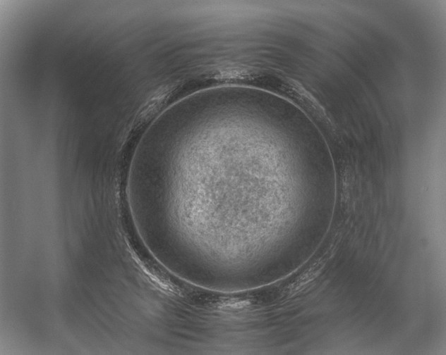 X0000057080257200509120928