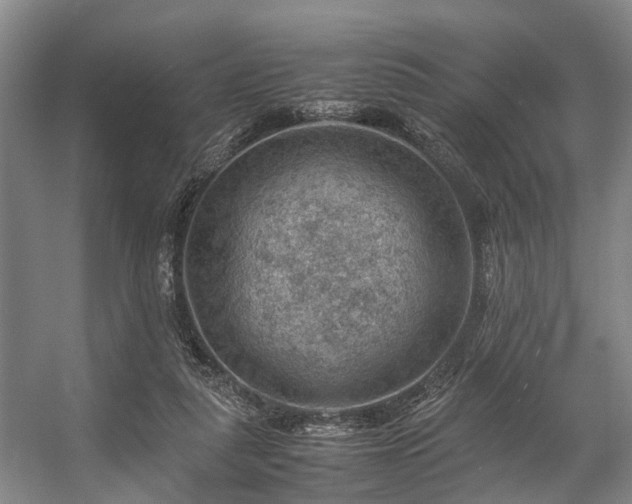 X0000057080259200509120928