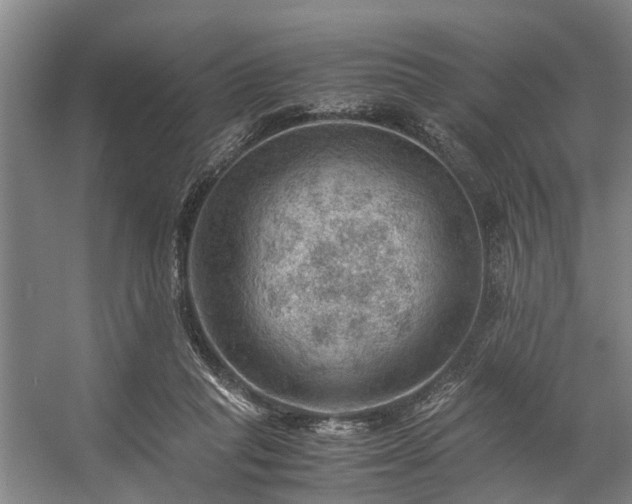 X0000057080261200509120928