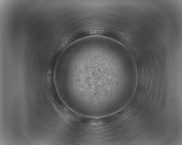 X0000057080263200509120928