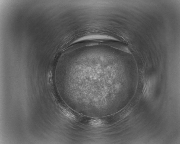 X0000057080269200509120928