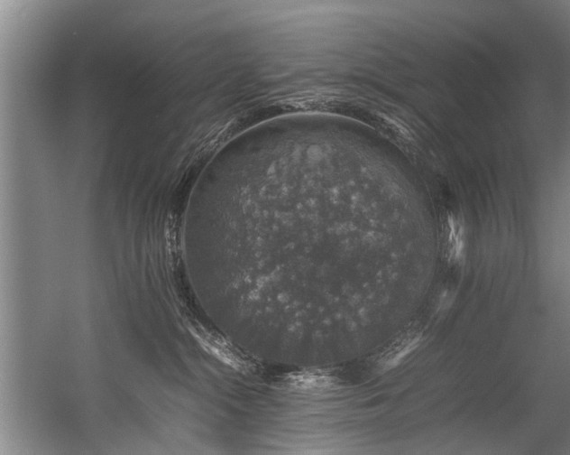 X0000057080284200509120928