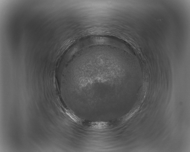 X0000057080288200509120928