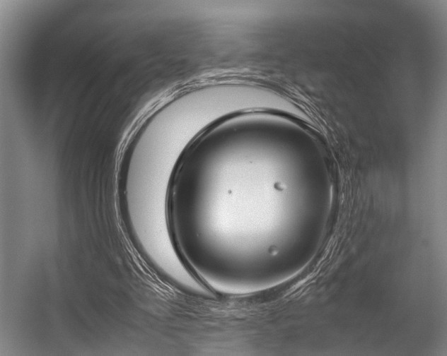 X0000057080293200509120928