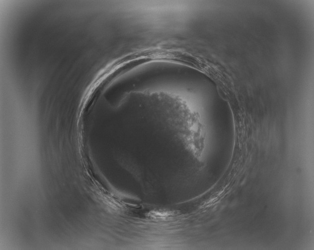 X0000057080295200509120928