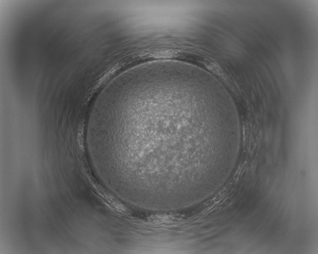 X0000057080297200509120927