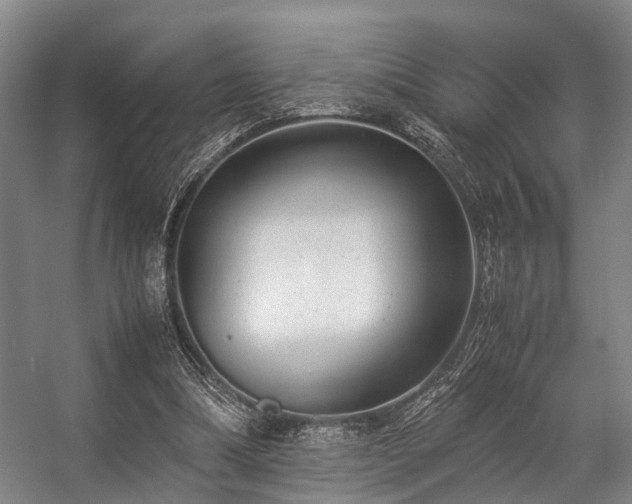 X0000057080298200509120927