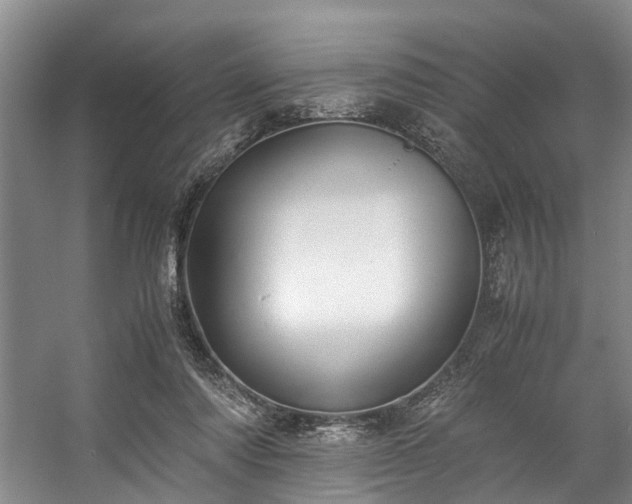 X0000057080310200509120927