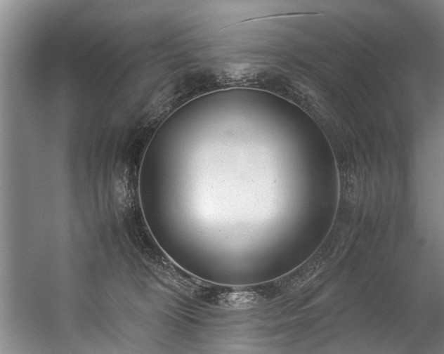 X0000057080324200509120927