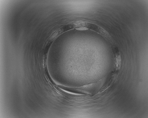 X0000057080333200509120927