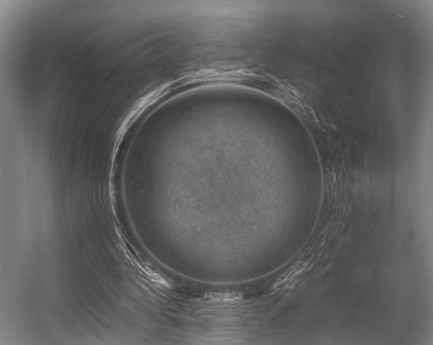 X0000057080340200509120926