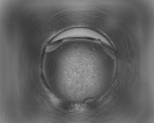 X0000057080345200509120926