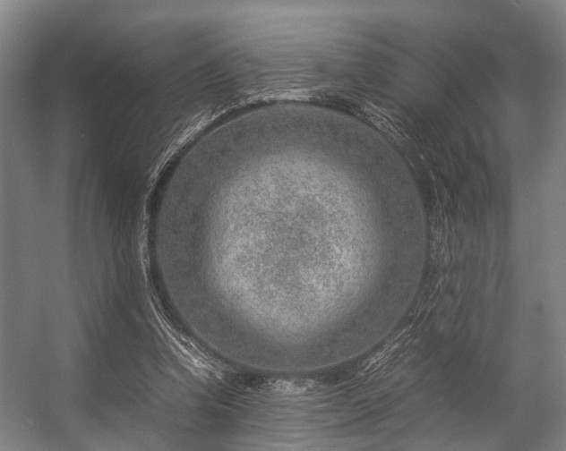 X0000057080346200509120926