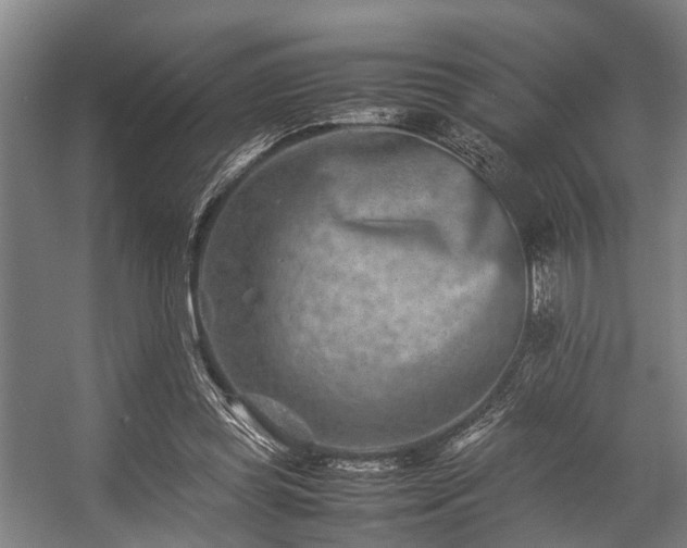 X0000057080349200509120926