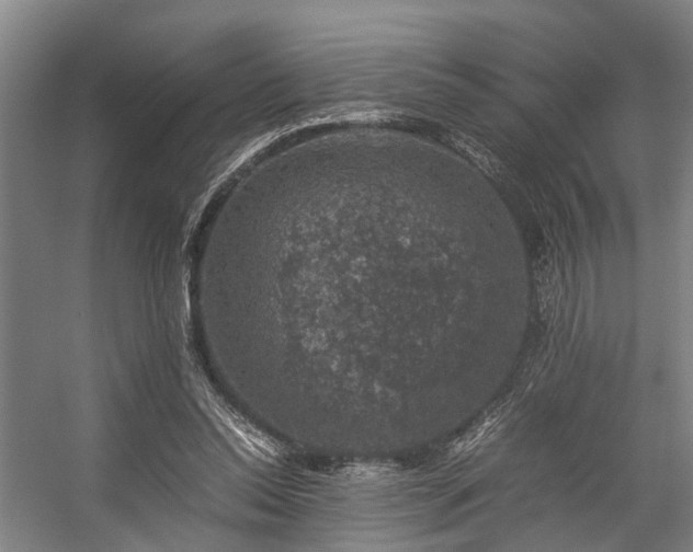 X0000057080350200509120926