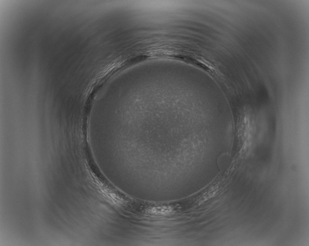 X0000057080353200509120926