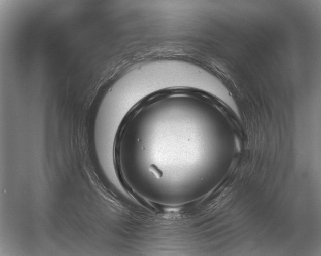 X0000057080362200509120926