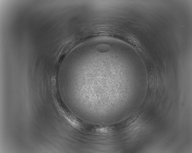 X0000057080365200509120926