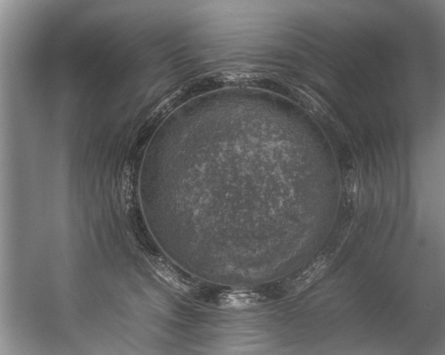 X0000057080372200509120927