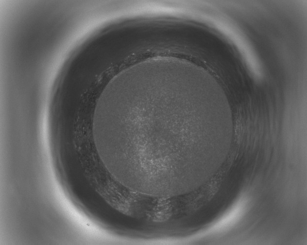 X0000057080383200509120927