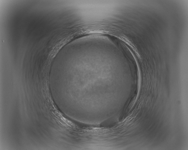 X0000057080385200509120926