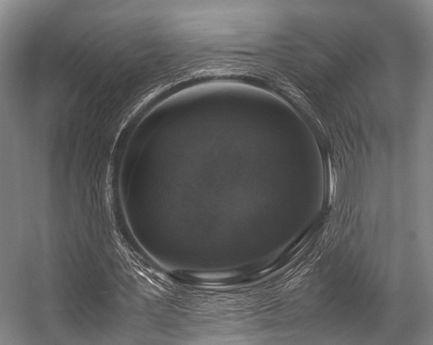 X0000057080387200509120926